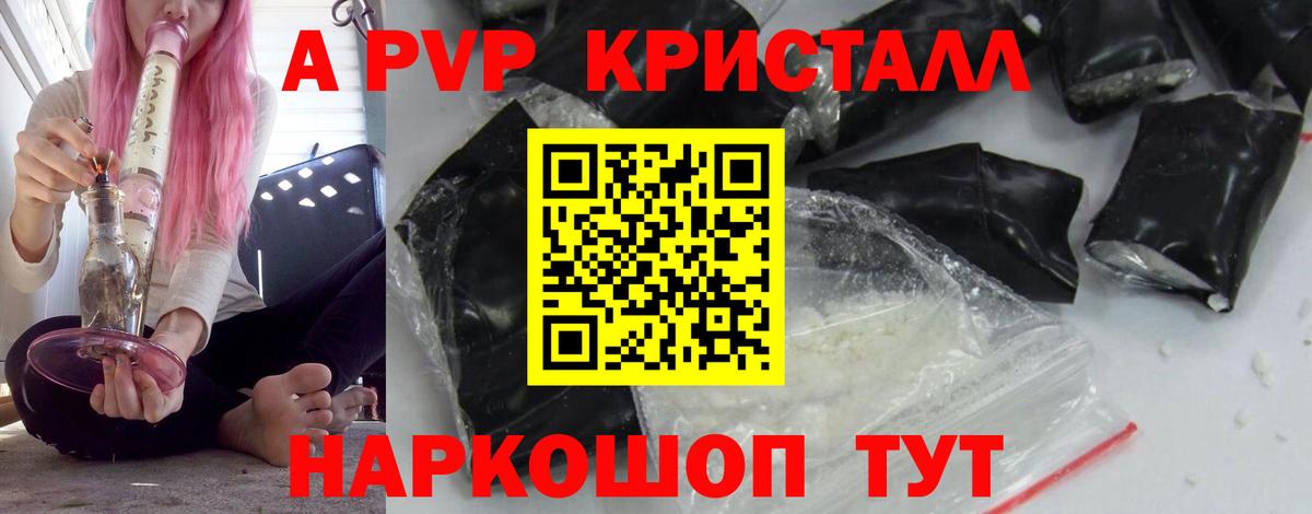 A PVP СК КРИС Пугачёв