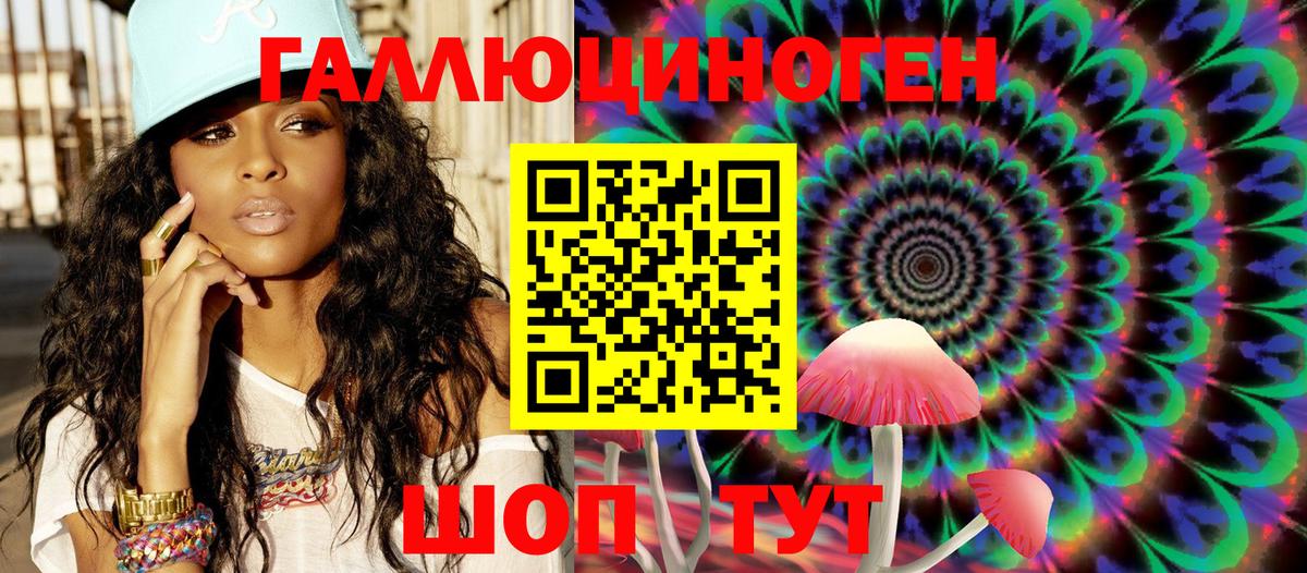 Пугачёв  Галлюциногенные грибы Cubensis  Вход с VPN 