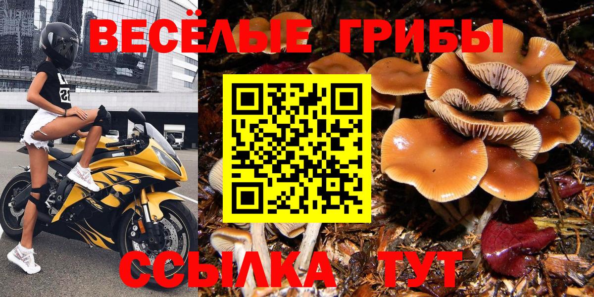 Галлюциногенные грибы GOLDEN TEACHER Пугачёв